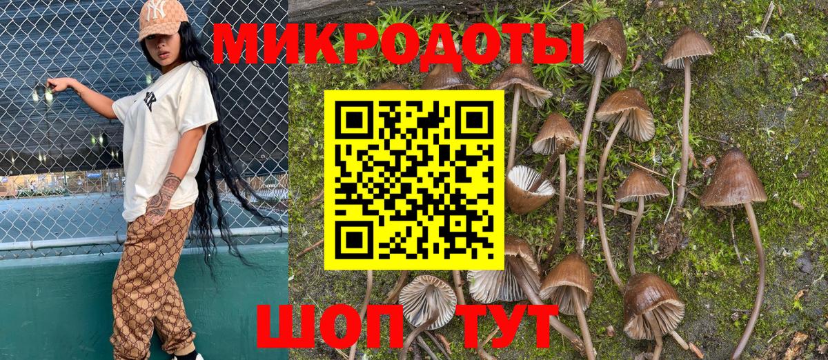 Галлюциногенные грибы MAGIC MUSHROOMS  Вход с VPN  Псилоцибиновые грибы мицелий  Серпухов 