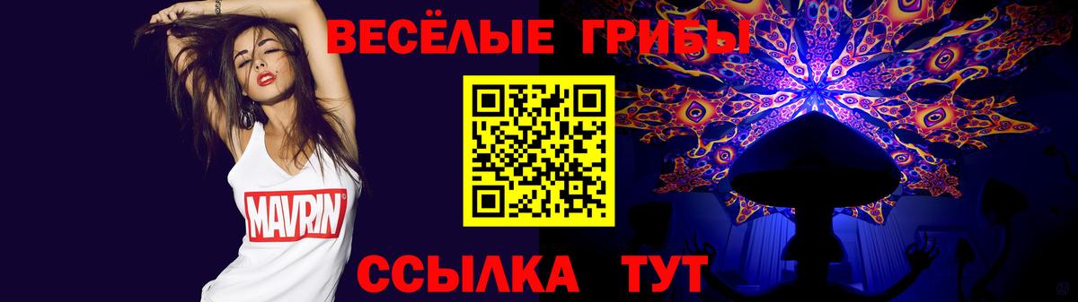 Псилоцибиновые грибы Psilocybine cubensis Серпухов